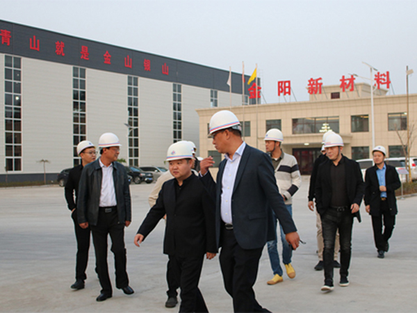 領(lǐng)導視察